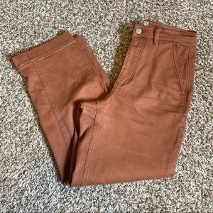 Everlane Straight Leg Crop Pants in Cocoa Brown